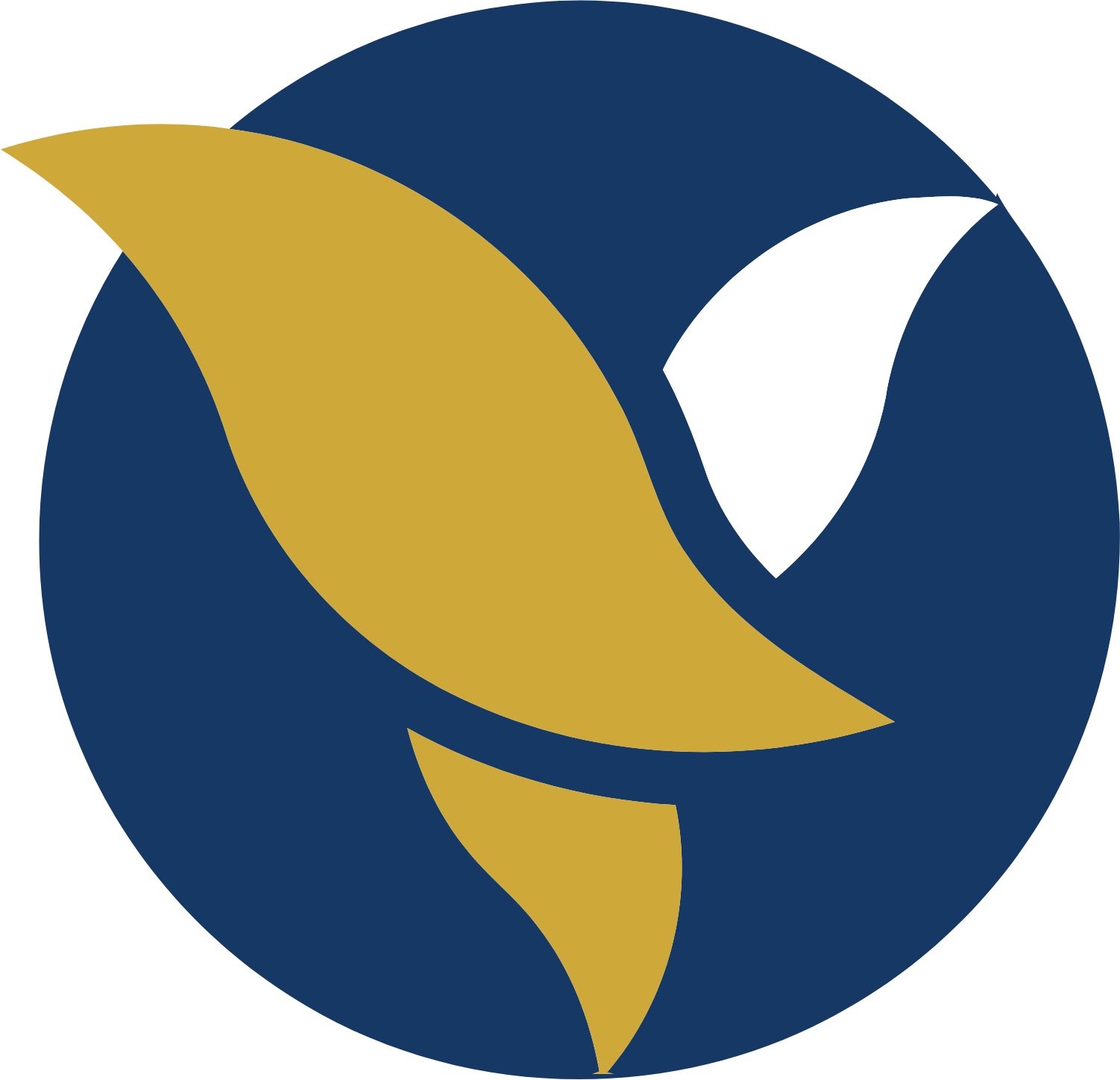 Acleda Bank Icon
